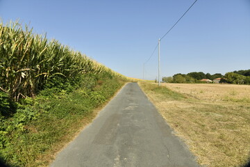 Route secondaire de campagne sous un ciel bleu près du bourg de Champagne au Périgord Vert  © Photocolorsteph