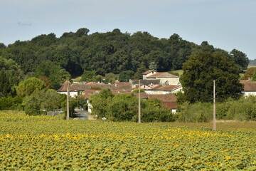 Le bourg de Champagne entre un champ de tournesols et une colline boisée au Périgord Vert  © Photocolorsteph
