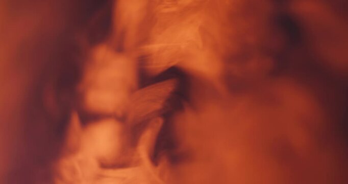 Cinema Smoke Steam Fog Mist with Levitating Particles in Space | Red Color | Beautiful Organic Natural Visual Cinematic Effect in Slow Motion 60fps, 4k, 12bit Bmd RAW video source 