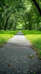 Obraz premium Forest trail ahead with lush trees on both sides