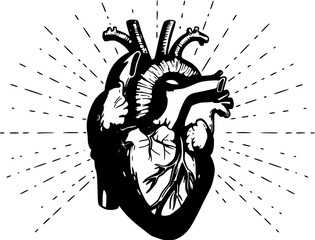 Hand drawn human heart with sunburst anatomically correct art. Flash tattoo or print design vector illustration