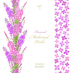 collection of seamless vertical borders with wildflowers fireweed. set of frame with medicinal plant Chamaenerion angustifolium