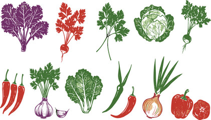 Spice vector. Sketch crayon vegetable illustration. Food and herb, ginger parsley rosemary basil garlic paprika pepper arugula olive doodle icon. Spice watercolor or crayon leaf