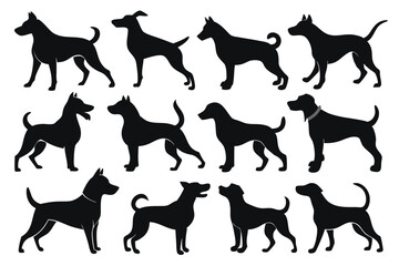 Vector, Isolated Black Silhouette of a Dog – Pet Animal Icon Collection