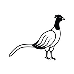 Pheasant vector line art