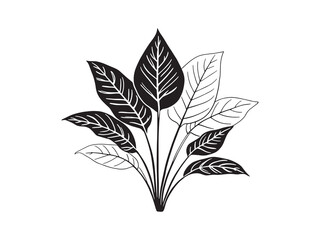 Minimalist ZZ Plant Leaf Vector Drawing Design