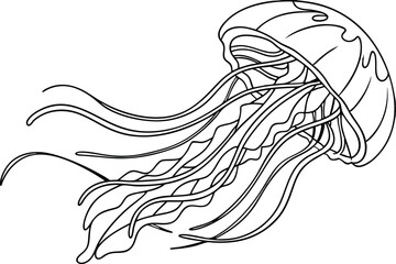 Detailed Jellyfish Line Art Illustration Of Marine Wildlife For Creative Projects