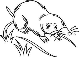 Black And White Illustration Of A Mole In Grass Outline Drawing