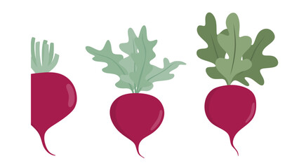Turnip icon set in the flat style on white background.