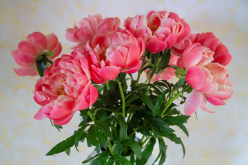 Pfingstrosen-Strauß