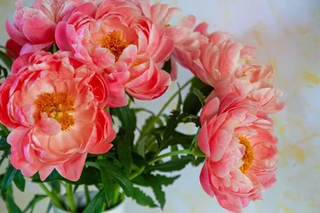 Fototapete Pfingstrosen Pfingstrosen-Strauß  © E. Schittenhelm