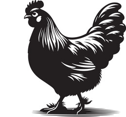 rooster and hen, hen chicken icon silhouette vector style with white background