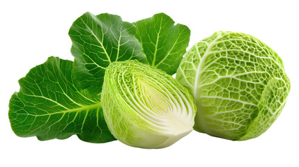 Fototapeta premium Fresh Cabbage in Green Garden: A vibrant display of fresh cabbage, with its intricate textures and lush green leaves, presents a feast for the eyes, symbolizing the purity of the natural world.