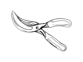 Lopper line art icon detailed pruning shears graphic