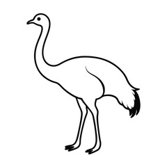 Emu vector line art