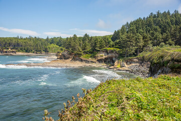  Scenic Coastal Cliff and Forest Landscape with Ocean Waves