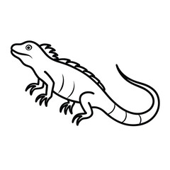 Iguana vector line art