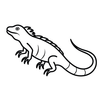 black outline iguana reptile drawing clip art preview