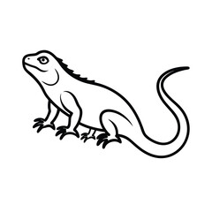 Obraz premium Iguana vector line art