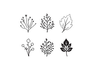 Marigold Leaf Vector Drawing in Fine Line Art Style