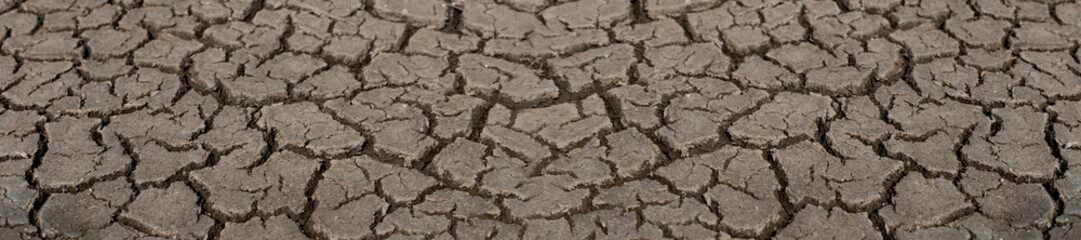 Cracked Earth surface depicting drought and arid natural conditions