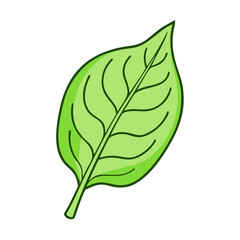 Illustration of green leaf plant foliage nature botany organic eco friendly environment growth art