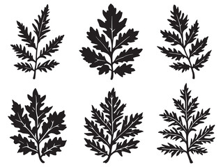 Minimalist Alder Tree in Simple Line Art Style