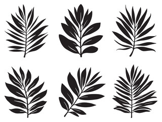 Obraz premium Minimalist Bamboo Palm Drawing in Vector Style
