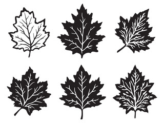 Minimalist Beech Tree Drawing In Black And White