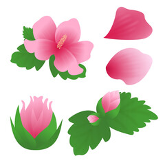 Patriots and Veterans Month Korea Flower 호국보훈의 달 대한민국 꽃 무궁