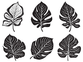 Minimalist Dieffenbachia Leaf Botanical Line Art Design