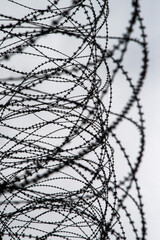 Dense coils of barbed wire with artistic symmetry