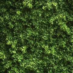Fototapeta premium Peaceful moss garden with natural stone and sunlight