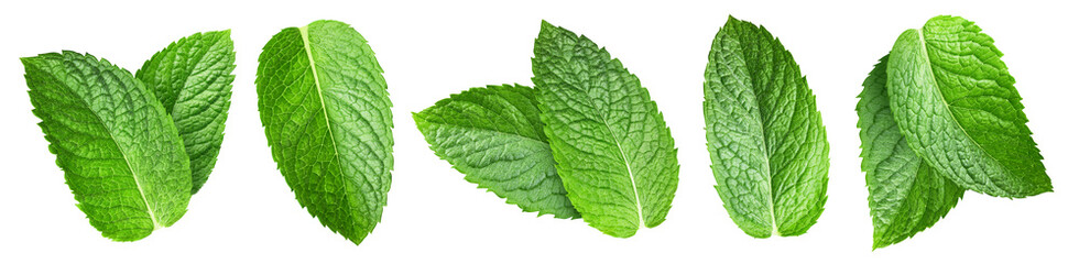 Mint leaves isolated on white