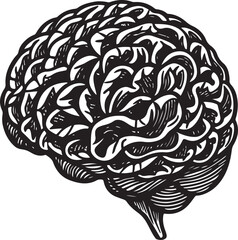 Brain And Neuron Drawings Pro Vector and Pro SVG