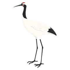 Cute children's book style Japanese crane