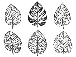 minimalist line art plant leaf vector illustration