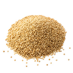 Fototapeta premium Single quinoa seed isolated on a transparent background 