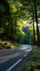 Naklejka premium Winding road in verdant forest, sunlight shining through lush green tree canopy, peaceful natural landscape with dark asphalt and shadows.