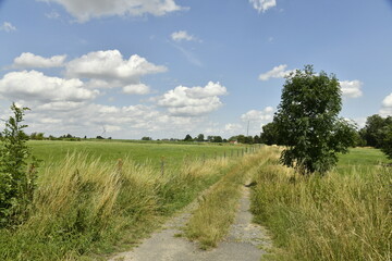 Obraz premium Cumulus de beau temps sur un paysage rural à Ghislenghien (Ath)