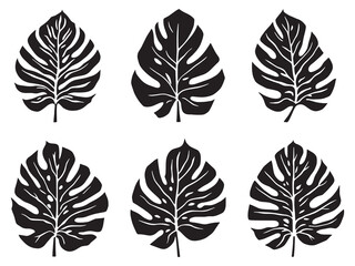 Minimalist Monstera leaf vector artwork for interior design