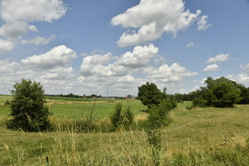 Cumulus de beau temps sur un paysage rural à Ghislenghien (Ath)