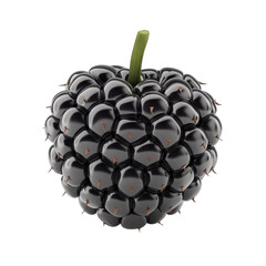 Blackberry Bramble isolated on white background