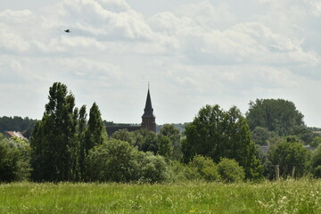Fototapeta premium Le clocher de l'église Saint-Jean-l'Évangéliste émergeant des arbres d'un bois à Ghislenghien (Ath)