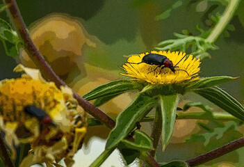 inseto pousado na flor