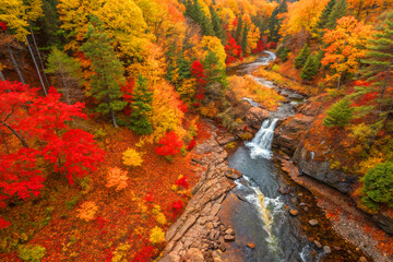Autumn River Flowing Through Vibrant Forest