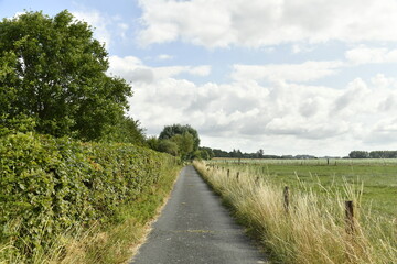 Chemin bitumé entre une haie et une route à Ghislenghien (Ath)