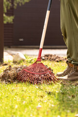 Raking fallen leaves with rakes. The concept of caring for the garden, the beauty of the garden. Allotment season. Support for work in the garden. Removing grass from the soil.