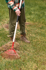 Raking fallen leaves with rakes. The concept of caring for the garden, the beauty of the garden. Allotment season. Support for work in the garden. Removing grass from the soil.