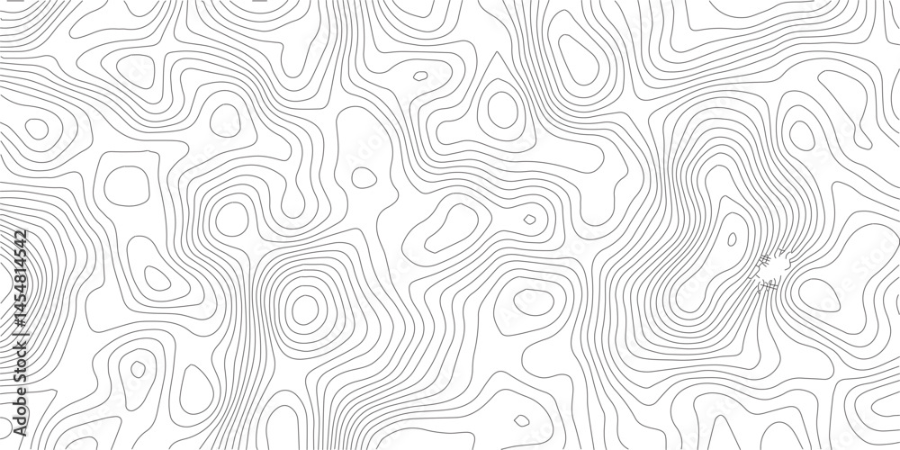 Poster abstract topographic contours map background .topographic background and texture, monochrome image. 